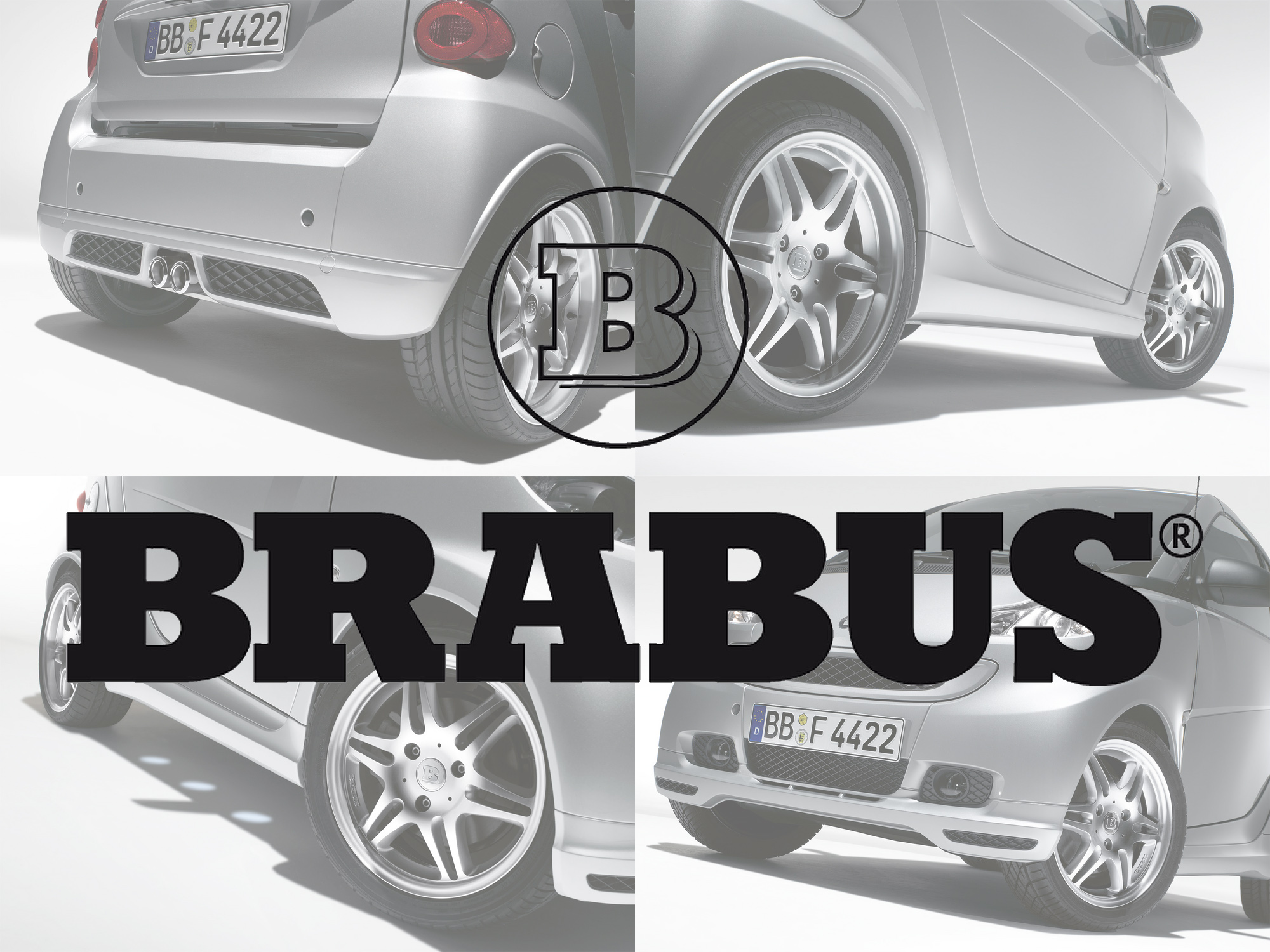 BRABUS Ziergitter rechts für smart fortwo (Baureihe 451) BRABUS Ziergitter rechts für smart fortwo (Baureihe 451)