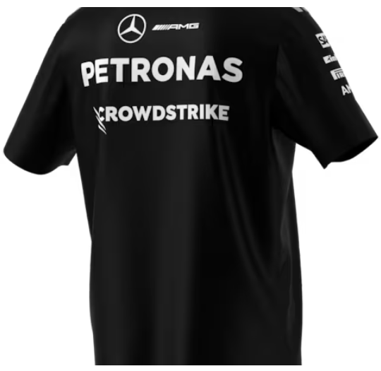 Poloshirt Herren, Team, Mercedes-AMG F1 schwarz