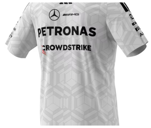 T-Shirt Herren, Fahrer, Mercedes-AMG F1 weiß