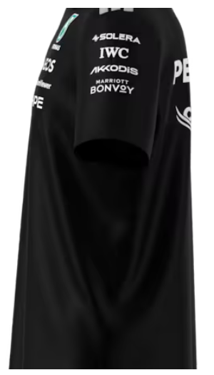 Poloshirt Herren, Team, Mercedes-AMG F1 schwarz
